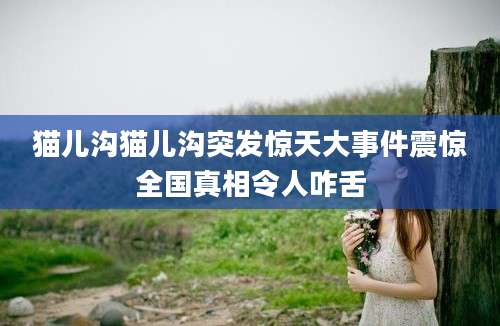 猫儿沟猫儿沟突发惊天大事件震惊全国真相令人咋舌