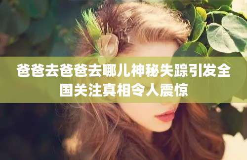 爸爸去爸爸去哪儿神秘失踪引发全国关注真相令人震惊