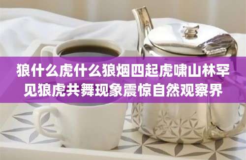 狼什么虎什么狼烟四起虎啸山林罕见狼虎共舞现象震惊自然观察界