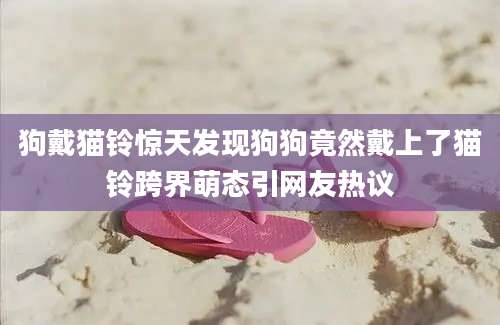狗戴猫铃惊天发现狗狗竟然戴上了猫铃跨界萌态引网友热议