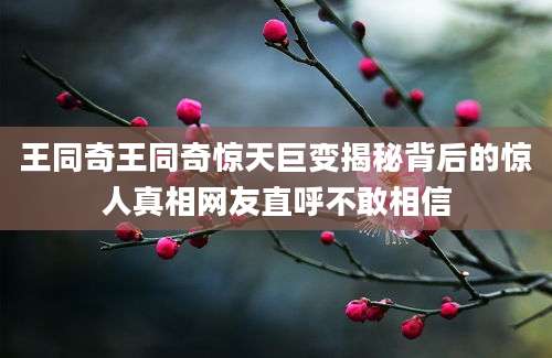 王同奇王同奇惊天巨变揭秘背后的惊人真相网友直呼不敢相信