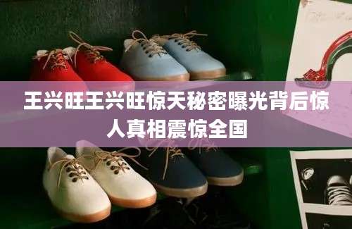 王兴旺王兴旺惊天秘密曝光背后惊人真相震惊全国