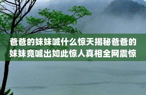 爸爸的妹妹喊什么惊天揭秘爸爸的妹妹竟喊出如此惊人真相全网震惊