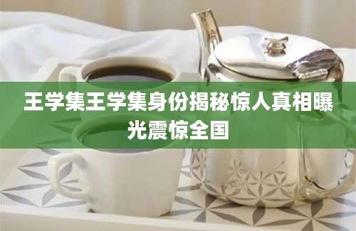 王学集王学集身份揭秘惊人真相曝光震惊全国