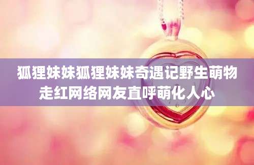 狐狸妹妹狐狸妹妹奇遇记野生萌物走红网络网友直呼萌化人心