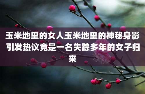 玉米地里的女人玉米地里的神秘身影引发热议竟是一名失踪多年的女子归来