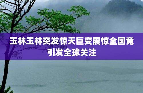玉林玉林突发惊天巨变震惊全国竟引发全球关注
