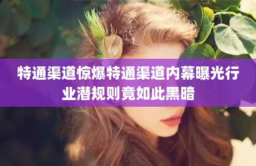特通渠道惊爆特通渠道内幕曝光行业潜规则竟如此黑暗