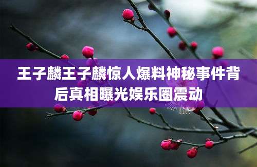 王子麟王子麟惊人爆料神秘事件背后真相曝光娱乐圈震动