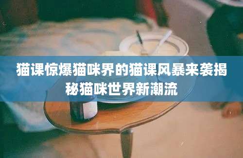 猫课惊爆猫咪界的猫课风暴来袭揭秘猫咪世界新潮流