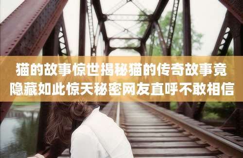 猫的故事惊世揭秘猫的传奇故事竟隐藏如此惊天秘密网友直呼不敢相信