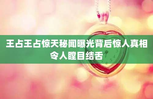 王占王占惊天秘闻曝光背后惊人真相令人瞠目结舌