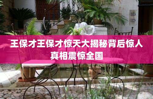 王保才王保才惊天大揭秘背后惊人真相震惊全国
