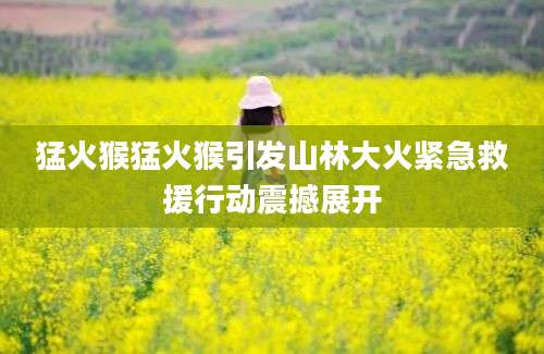 猛火猴猛火猴引发山林大火紧急救援行动震撼展开