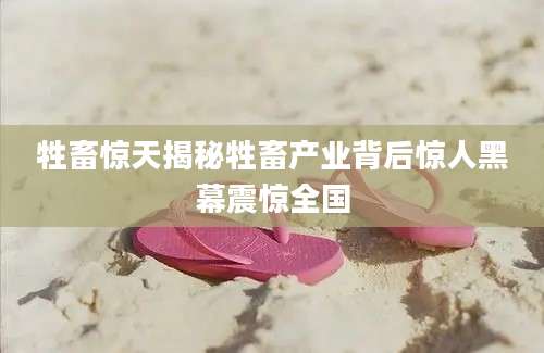 牲畜惊天揭秘牲畜产业背后惊人黑幕震惊全国