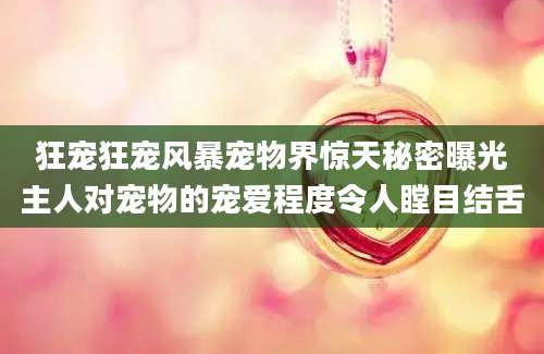 狂宠狂宠风暴宠物界惊天秘密曝光主人对宠物的宠爱程度令人瞠目结舌