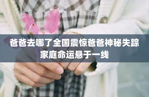爸爸去哪了全国震惊爸爸神秘失踪家庭命运悬于一线