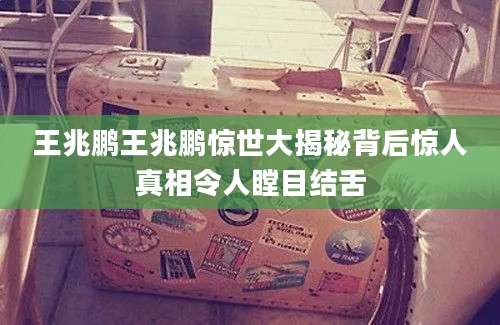 王兆鹏王兆鹏惊世大揭秘背后惊人真相令人瞠目结舌