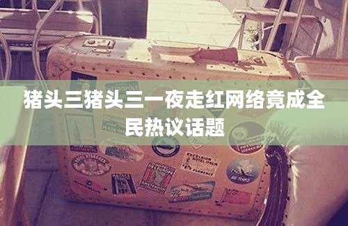猪头三猪头三一夜走红网络竟成全民热议话题