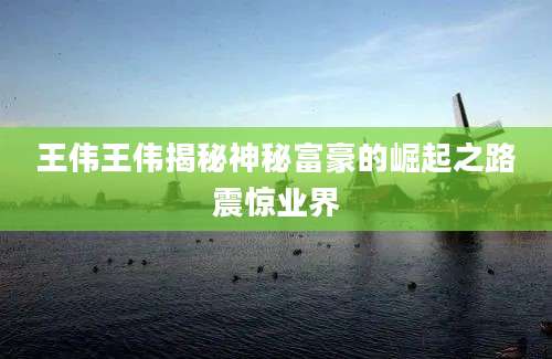 王伟王伟揭秘神秘富豪的崛起之路震惊业界