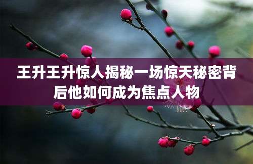 王升王升惊人揭秘一场惊天秘密背后他如何成为焦点人物