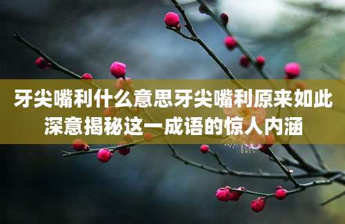 牙尖嘴利什么意思牙尖嘴利原来如此深意揭秘这一成语的惊人内涵