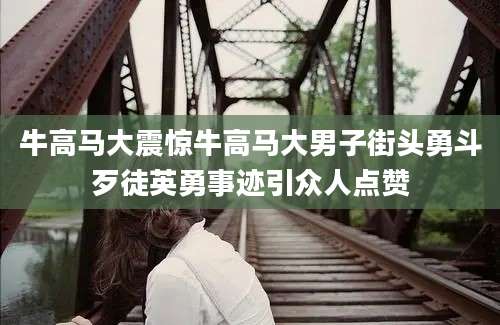 牛高马大震惊牛高马大男子街头勇斗歹徒英勇事迹引众人点赞