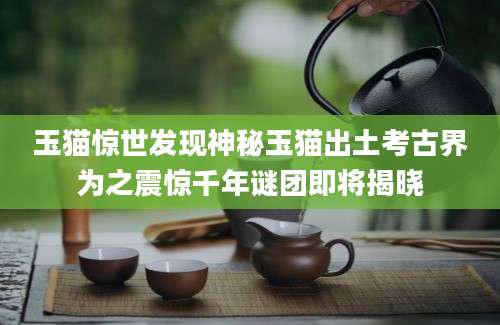 玉猫惊世发现神秘玉猫出土考古界为之震惊千年谜团即将揭晓