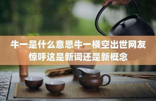 牛一是什么意思牛一横空出世网友惊呼这是新词还是新概念