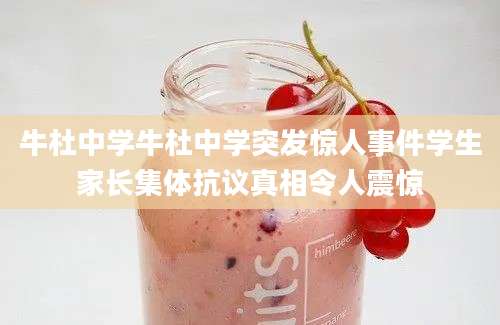 牛杜中学牛杜中学突发惊人事件学生家长集体抗议真相令人震惊
