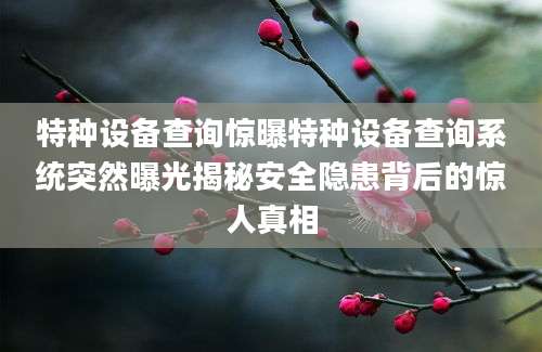特种设备查询惊曝特种设备查询系统突然曝光揭秘安全隐患背后的惊人真相