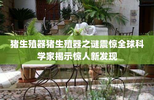 猪生殖器猪生殖器之谜震惊全球科学家揭示惊人新发现