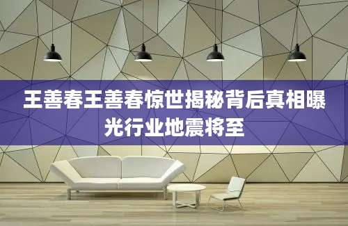 王善春王善春惊世揭秘背后真相曝光行业地震将至