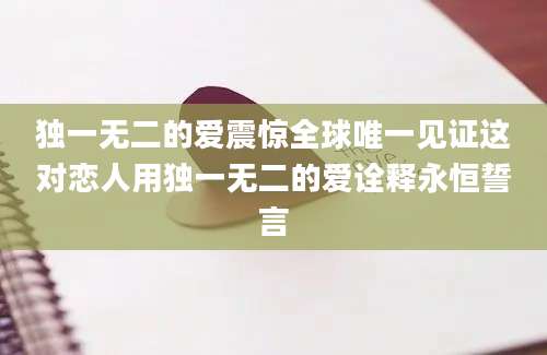 独一无二的爱震惊全球唯一见证这对恋人用独一无二的爱诠释永恒誓言