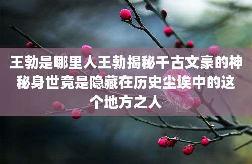 王勃是哪里人王勃揭秘千古文豪的神秘身世竟是隐藏在历史尘埃中的这个地方之人