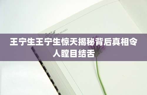 王宁生王宁生惊天揭秘背后真相令人瞠目结舌