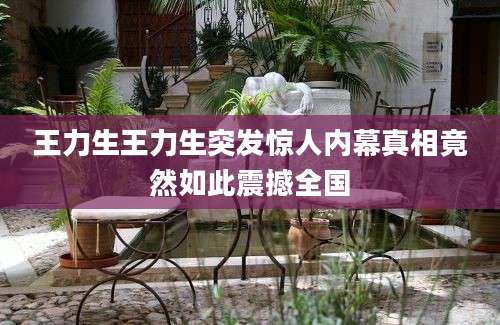 王力生王力生突发惊人内幕真相竟然如此震撼全国
