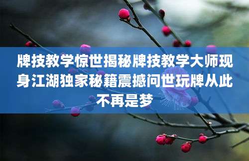 牌技教学惊世揭秘牌技教学大师现身江湖独家秘籍震撼问世玩牌从此不再是梦