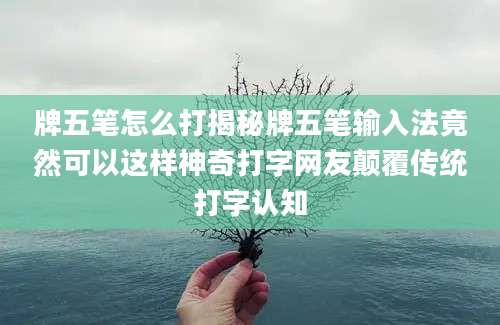 牌五笔怎么打揭秘牌五笔输入法竟然可以这样神奇打字网友颠覆传统打字认知