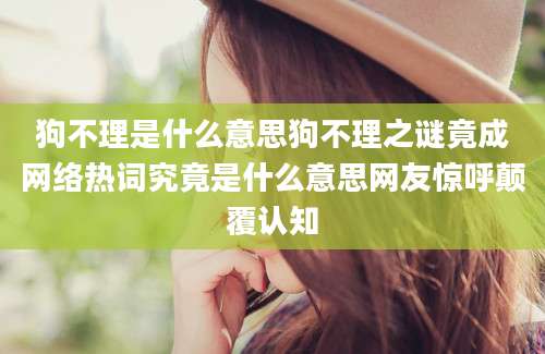 狗不理是什么意思狗不理之谜竟成网络热词究竟是什么意思网友惊呼颠覆认知