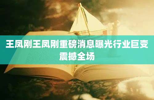 王凤刚王凤刚重磅消息曝光行业巨变震撼全场