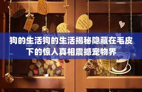 狗的生活狗的生活揭秘隐藏在毛皮下的惊人真相震撼宠物界