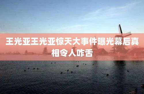 王光亚王光亚惊天大事件曝光幕后真相令人咋舌