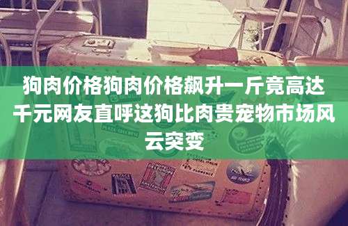 狗肉价格狗肉价格飙升一斤竟高达千元网友直呼这狗比肉贵宠物市场风云突变