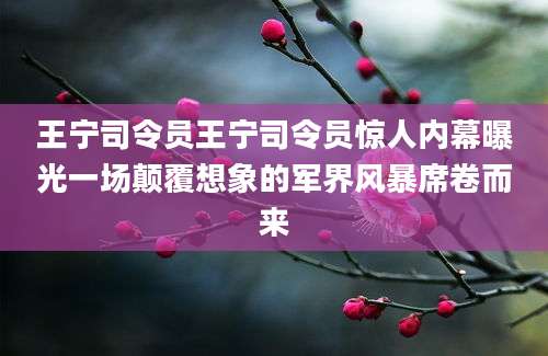 王宁司令员王宁司令员惊人内幕曝光一场颠覆想象的军界风暴席卷而来