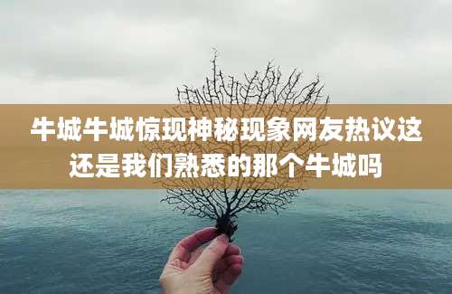 牛城牛城惊现神秘现象网友热议这还是我们熟悉的那个牛城吗