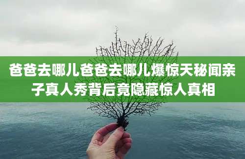 爸爸去哪儿爸爸去哪儿爆惊天秘闻亲子真人秀背后竟隐藏惊人真相