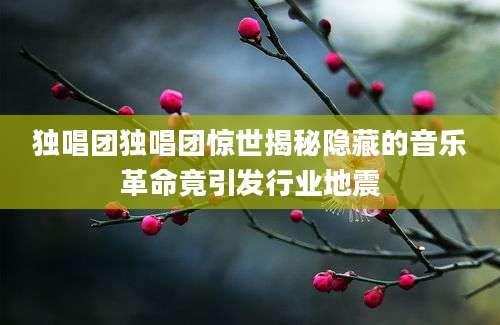 独唱团独唱团惊世揭秘隐藏的音乐革命竟引发行业地震