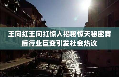 王向红王向红惊人揭秘惊天秘密背后行业巨变引发社会热议