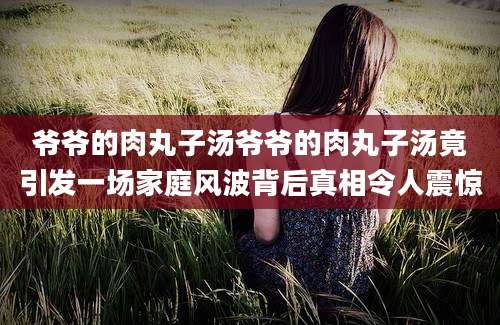 爷爷的肉丸子汤爷爷的肉丸子汤竟引发一场家庭风波背后真相令人震惊